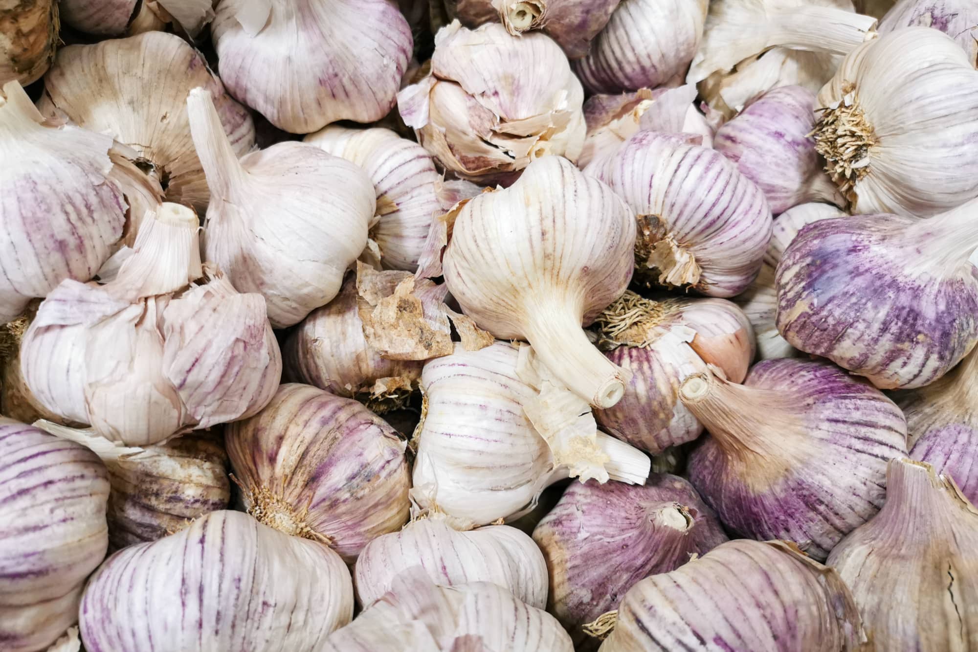 Des produits exceptionnels à base d'ail